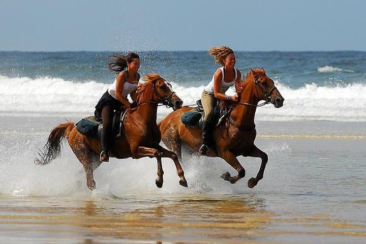 Horse Riding Agadir: Eucalyptus Forest & Souss-Massa River Ride
