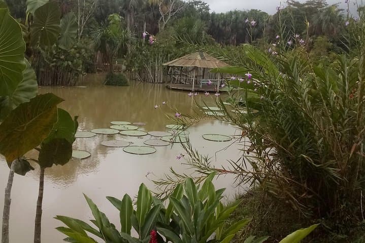 Full-Day Amazon River Tour from Iquitos: Dolphins, Paiche & Jungle Rescue Center