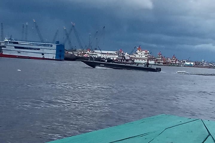 Full-Day Amazon River Tour from Iquitos: Dolphins, Paiche & Jungle Rescue Center photo 2
