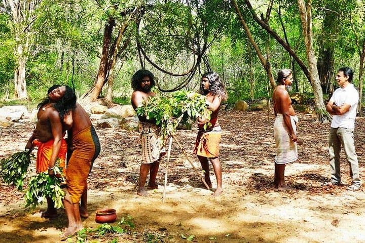 Full-Day Remote Jungle Village Tour to Meet the Vedda Community photo 3