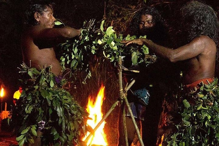 Full-Day Remote Jungle Village Tour to Meet the Vedda Community photo 4