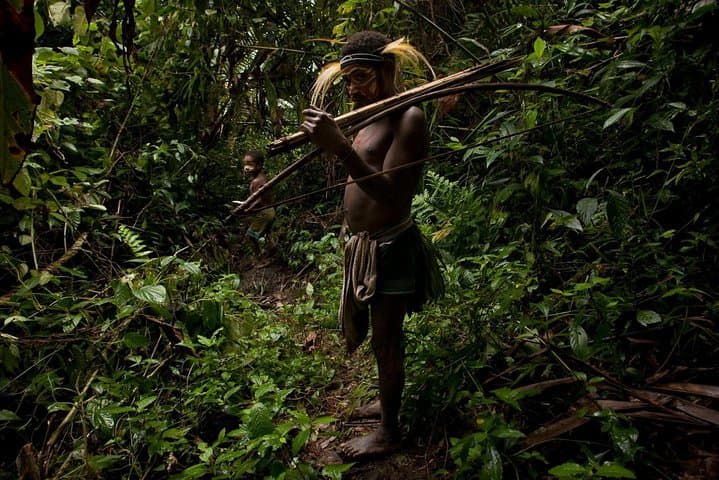 Full-Day Remote Jungle Village Tour to Meet the Vedda Community photo 1