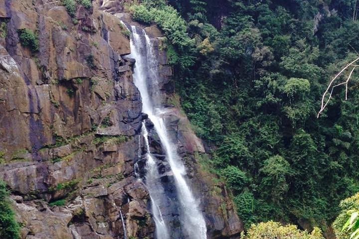 Nuwara Eliya Day Tour from Kandy — Private Upcountry Tea & Temple Route photo 4