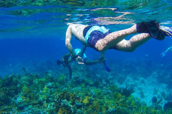 Glass-Bottom Boat and Snorkel Adventure to Booby Cay, Negril