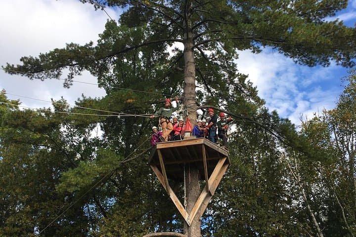 Wildman Zip Line Tour on the Menominee River — 5-Line Canopy Adventure Near Menominee, MI photo 4