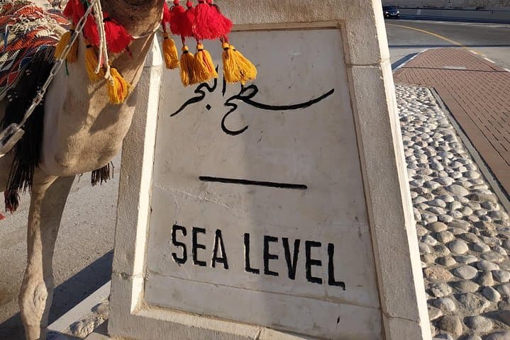 Dead Sea & Masada Private Tour — Float the Lowest Point and Explore Herod’s Fortress photo 2