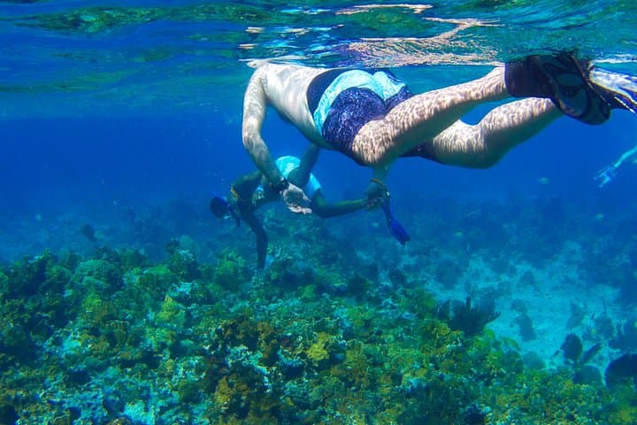 Negril Glass-Bottom Boat and Snorkel to Booby Cay from Grand Palladium Lucea photo 2