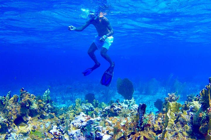 Negril Glass-Bottom Boat and Snorkel to Booby Cay from Grand Palladium Lucea photo 4