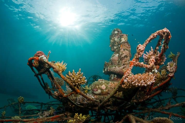 Discover Scuba Diving at Pemuteran's Biorock Reef: Shore Dive Experience