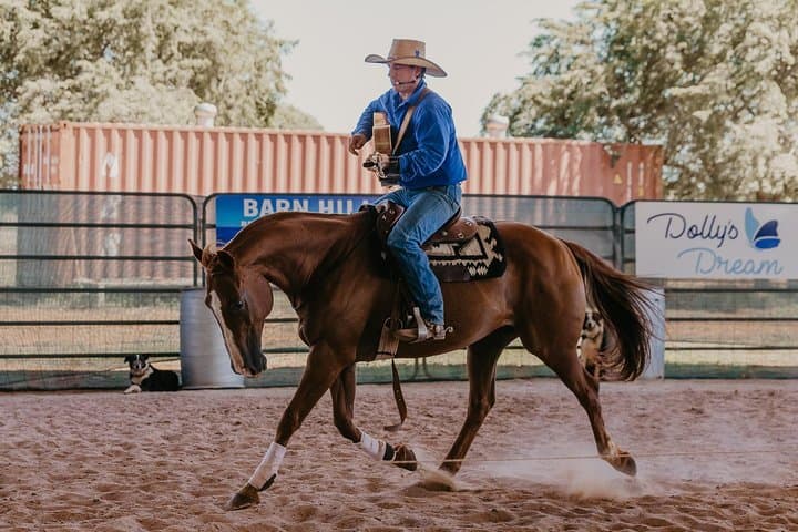 Katherine Outback Experience: Live Horse-Starting & Working Dogs Show photo 3