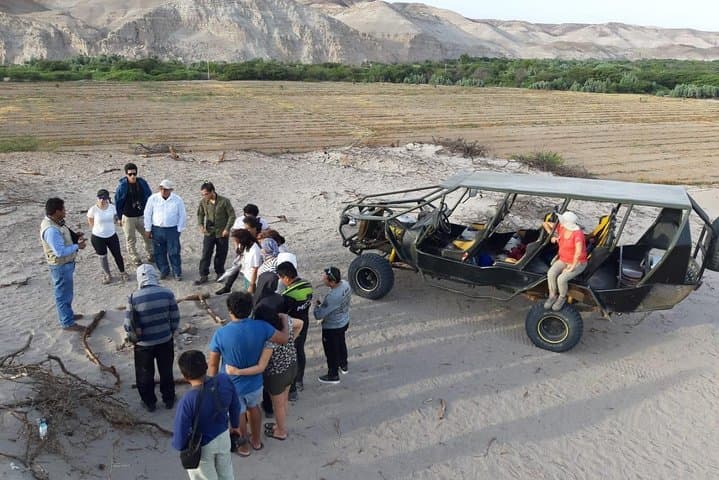 Nazca Buggy Archaeology Tour — Cahuachi, Chauchilla & Desert Tracks photo 5