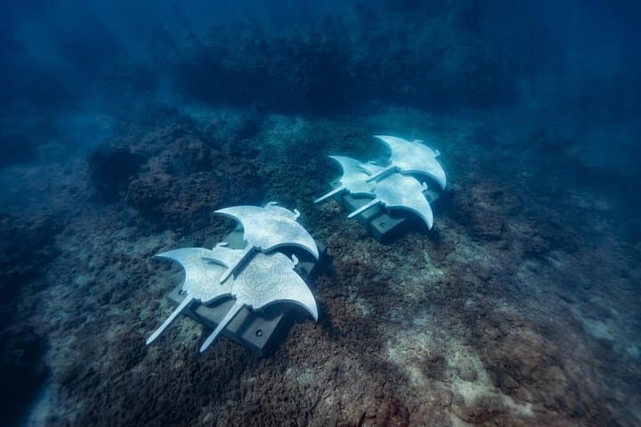 Private Whitsundays Charter: Custom Snorkel, Beach & Island Trails photo 6