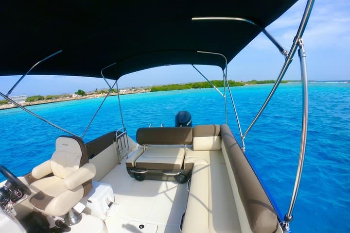 Aruba Private Boat Charter: Snorkel Mangel Halto, Reef Gardens, and Boca Catalina photo 3