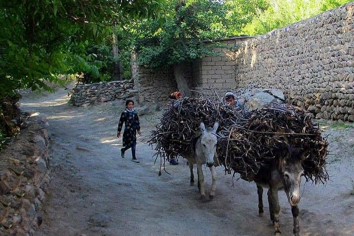 Ukhum Village Escape: 2-Day Rural Immersion from Samarkand photo 5
