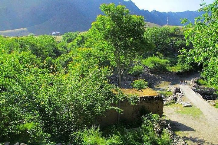 Ukhum Village Escape: 2-Day Rural Immersion from Samarkand photo 6