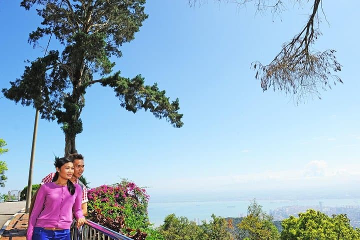 Full-Day Pulau Penang Exploration: Street Art, Clan Jetties & Komtar Skywalk