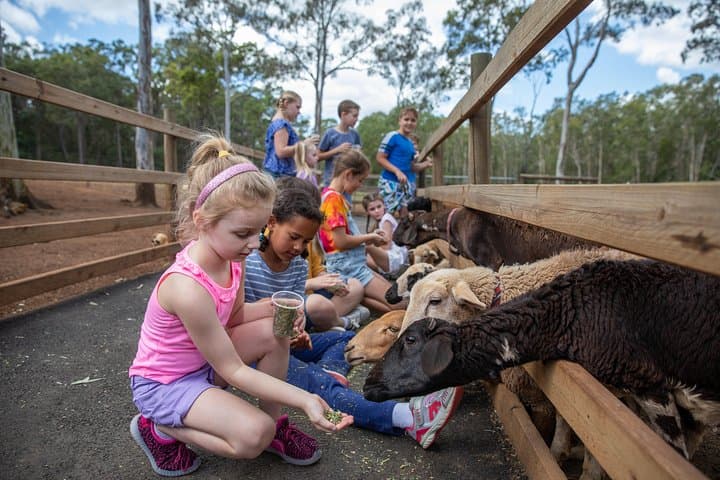 Day on the Farm in Moreton Bay: Feed Animals, Tractor Rides & Putt-Putt Fun photo 3