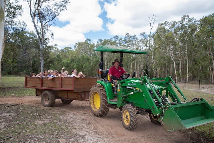 Day on the Farm in Moreton Bay: Feed Animals, Tractor Rides & Putt-Putt Fun photo 4