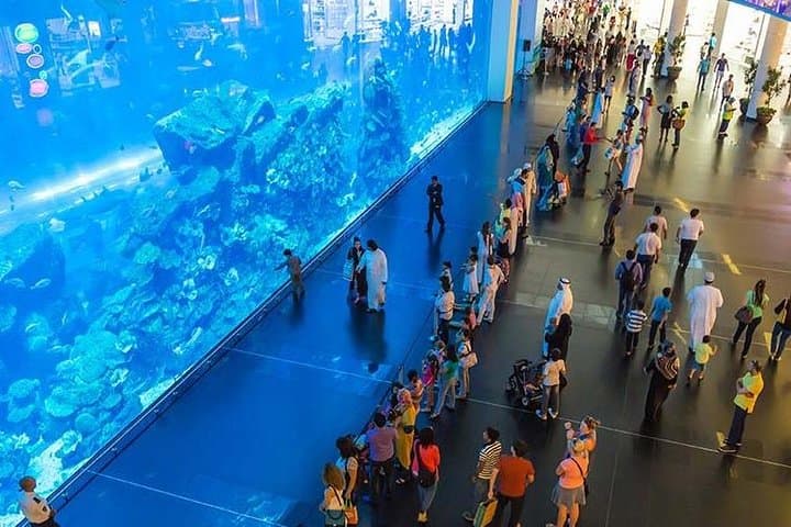 Dubai Standard Trio Package: City Tour, Dhow Cruise & Desert Safari photo 3