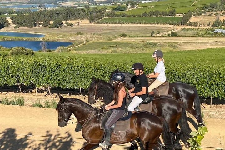 2-Hour Horse Trail on Paarl Mountain — Wine Valley Adventures in Stellenbosch Winelands photo 1
