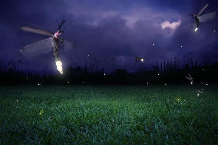 Kuala Selangor Firefly Boat Tour: Kampung Kuantan Night Glow