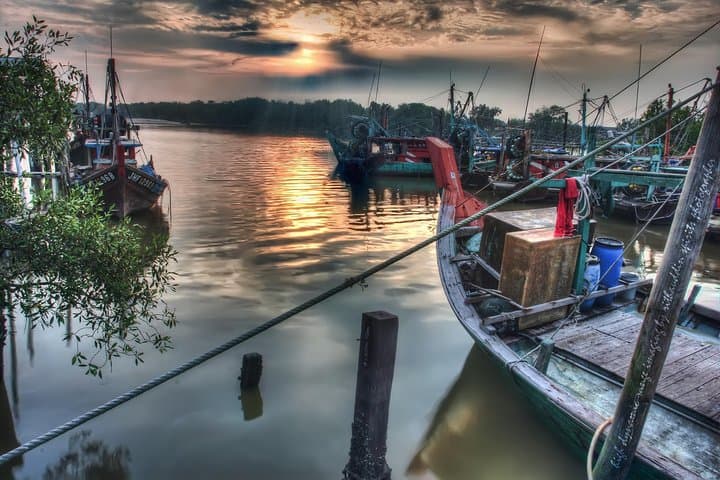 Kuala Selangor Firefly Boat Tour: Kampung Kuantan Night Glow photo 2