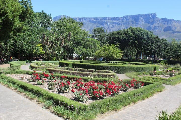 Full-Day Cape Town Highlights: Table Mountain, Bo-Kaap, Kirstenbosch & Camps Bay photo 2