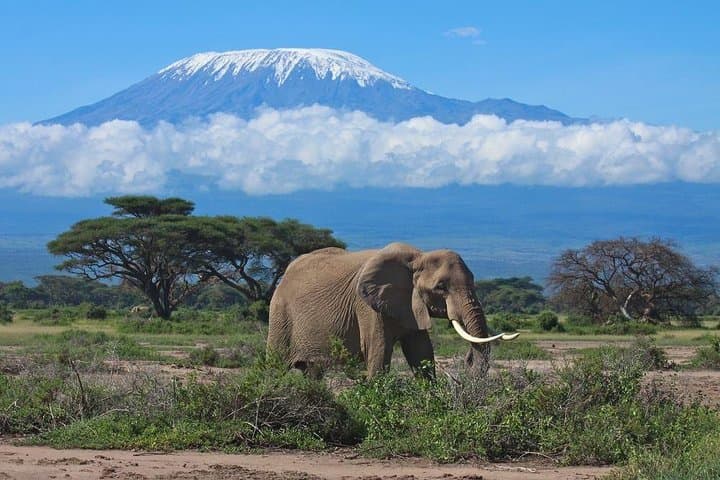 7-Day Machame Route Kilimanjaro Climb: Practical Guide to Uhuru Peak