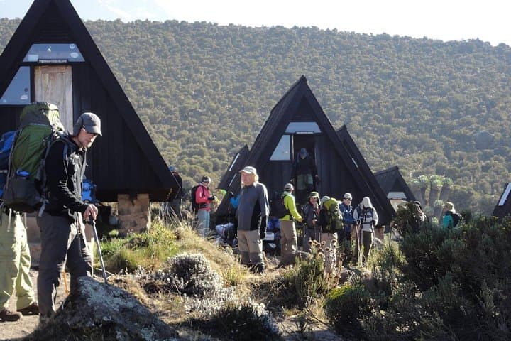 7-Day Machame Route Kilimanjaro Climb: Practical Guide to Uhuru Peak photo 3