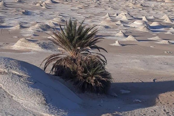 Overnight Desert Adventure: Bahariya Oasis, Black & White Deserts & Crystal Mountain