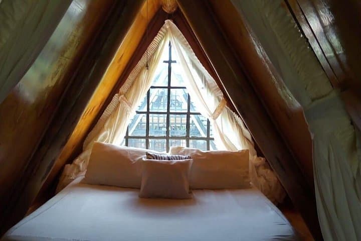 4-Day Lake Manyara, Ngorongoro & Tarangire Safari — Big Five, Tree-Climbing Lions & Camping photo 4