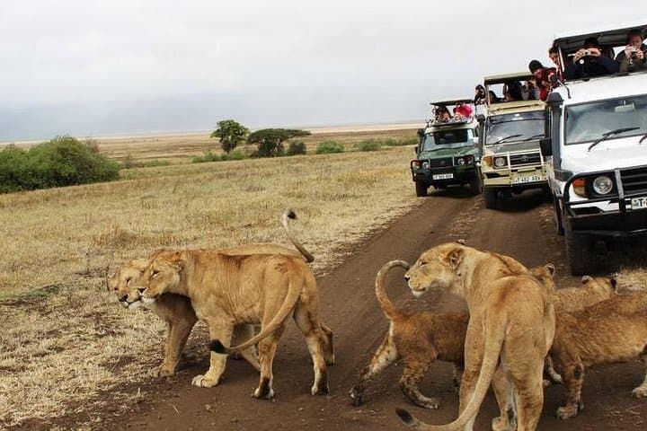 3-Day Tanzania Safari: Ngorongoro, Tarangire & Lake Manyara photo 4