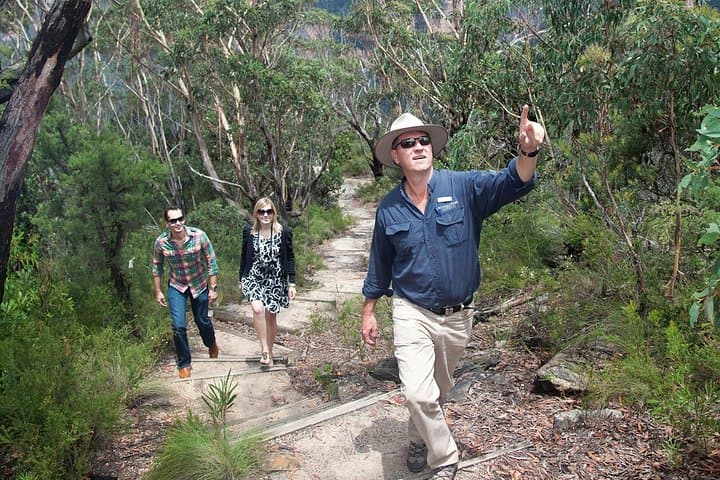 Blue Mountains Day Tour: Wentworth Falls, Three Sisters & Featherdale Wildlife photo 2