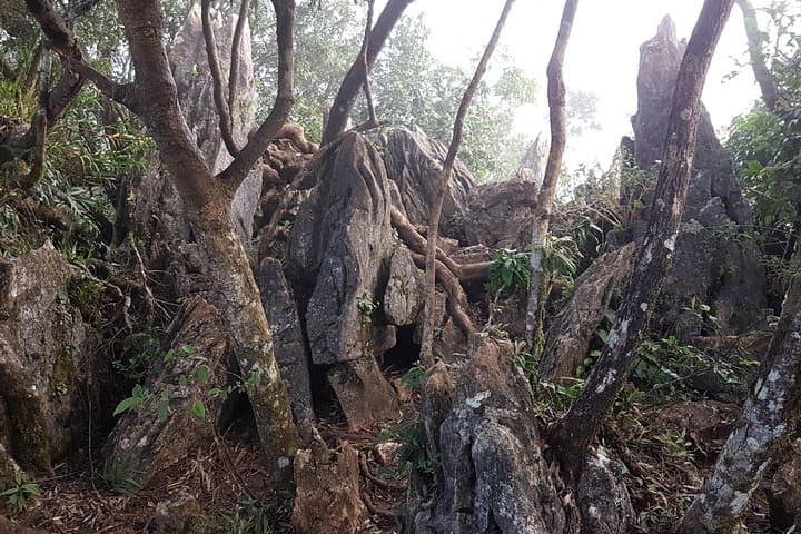Mount Daraitan Day Hike & Tinipak River – Sierra Madre Day-Trip Guide photo 4