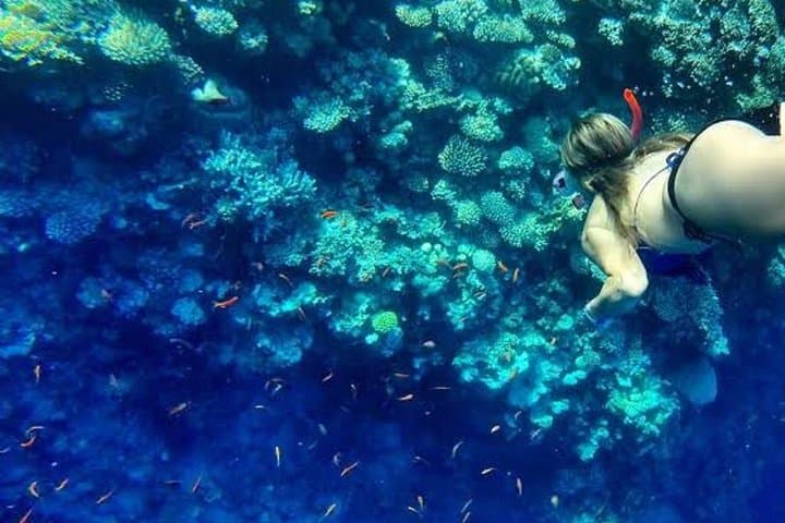 Blue Hole & White Canyon Day Trip: Snorkel, Camel Ride and Ras Abu Galum Adventure photo 6