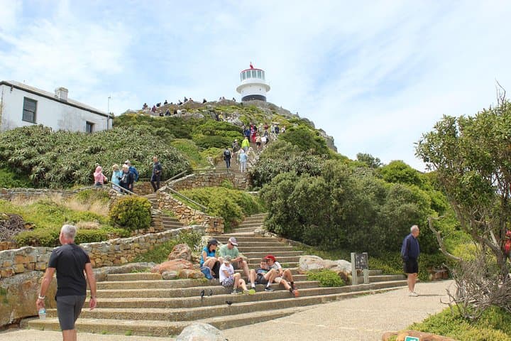 Cape Point & Boulders Beach: Swim with African Penguins and Drive Chapman's Peak photo 3