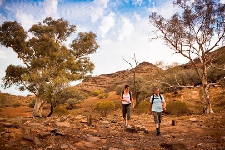 Flinders Ranges 3-Day 4WD Eco Tour from Adelaide — Wilpena Pound, Brachina & Bunyeroo photo 2