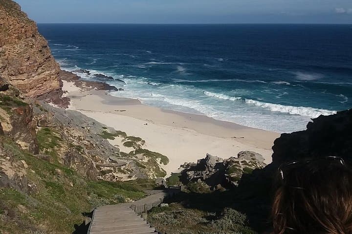 Cape Point & Boulders Beach: Swim with African Penguins and Drive Chapman's Peak photo 5