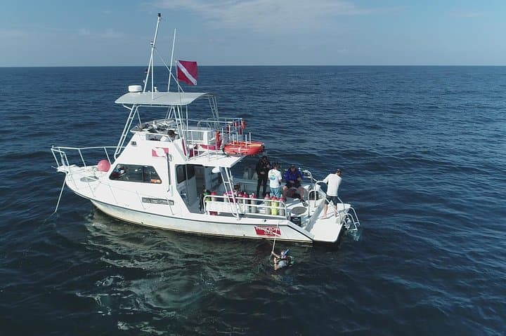 Panama City Beach Wreck & Bridge Span Dive Charter — Certified 50–75 ft Dives photo 4