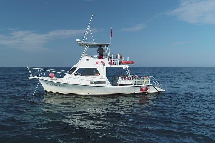 Panama City Beach Wreck & Bridge Span Dive Charter — Certified 50–75 ft Dives photo 6