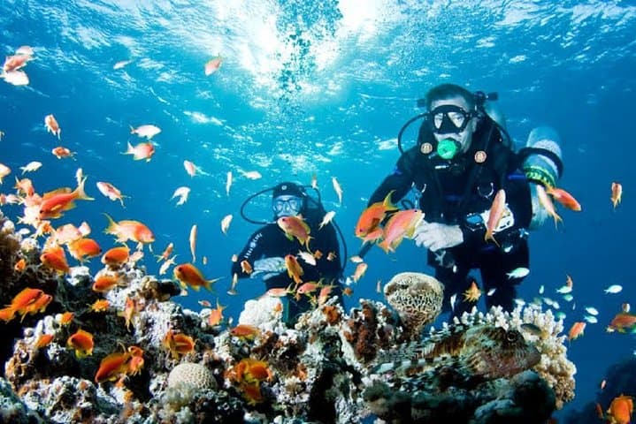 Red Sea Day Scuba Trip from Hurghada — Two Dives, Turtles & Coral Reefs photo 5