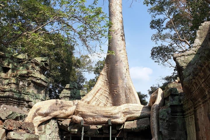 Angkor Wat Full-Day Small-Group Tour: Angkor Wat, Bayon & Ta Prohm from Siem Reap photo 2