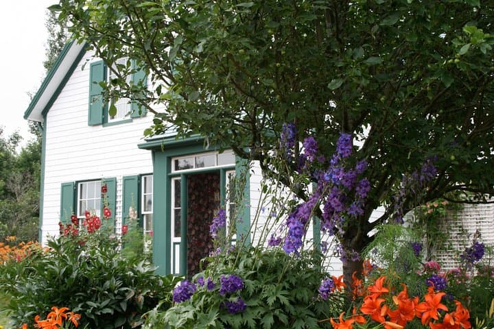Private North Shore Scenic Tour — Green Gables, Cavendish & North Rustico from Charlottetown