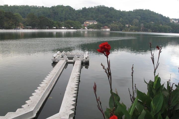 10-Day Sri Lanka Highlights: Sigiriya, Tea Country, Yala Safari & Mirissa Whale Watching photo 3