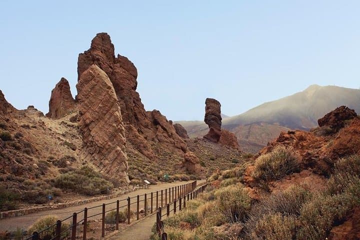 Teide Private Excursion from Tenerife Cruise Ports — Guided Day Tour to Mount Teide photo 6