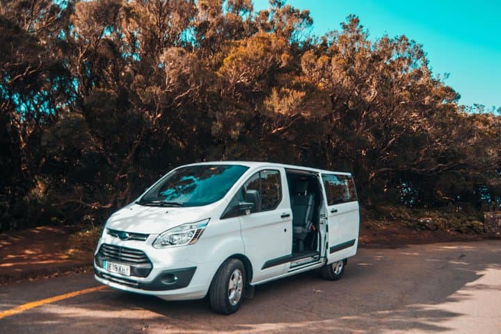 Teide Private Excursion from Tenerife Cruise Ports — Guided Day Tour to Mount Teide