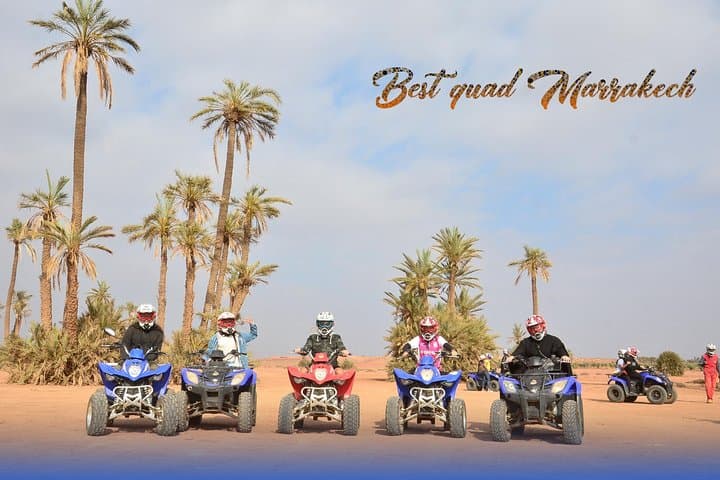 Palm Grove Quad Bike and Camel Ride — Half-Day Adventure from Marrakech photo 6