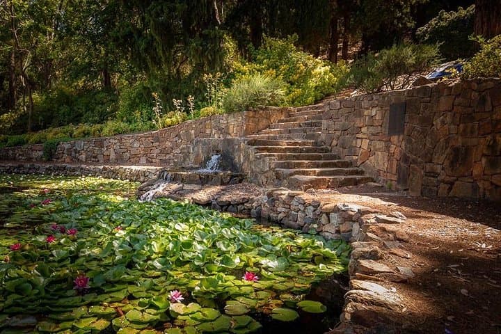 Hidden Secrets of Araluen: Guided Hike Through Perth Hills Botanic Park photo 3