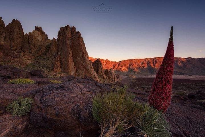 Tenerife Full-Island Tour: Teide, Icod, Garachico & Masca photo 5