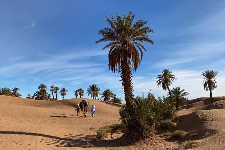 3-Day Sahara Trek: Palm Grove Walk, Bertham Dunes & Hamada Crossing